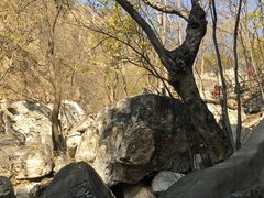 -北京上方山国家森林公园