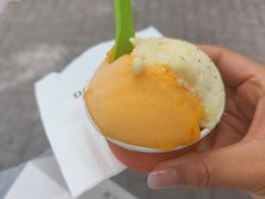 柿子-Dal Cuore 达可芮冰淇淋(陕西北路店)