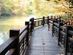 -白马涧龙池景区