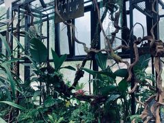 -北马山庄植趣咖啡