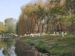 -长白岛森林公园