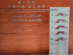 -四川大学博物馆