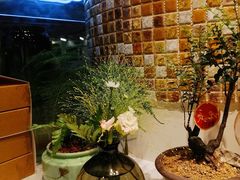 -九秋茶铺(三里屯店)