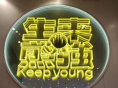 -小杨生煎(深圳岗厦北店)