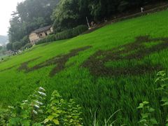 -韶山毛泽东同志故居