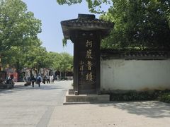-鲁镇