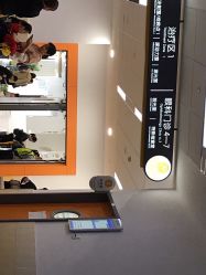 -上海交通大学医学院附属上海儿童医学中心(陆家嘴总院区)