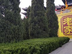 -大槐树寻根祭祖园