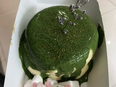 -狐狸和向日葵(北京路店)