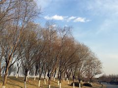 -永定河休闲森林公园