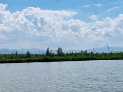 -野鸭湖国家湿地公园