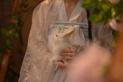 -汉仪华裳汉服馆(打浦桥店)