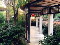 -张家港金凤凰度假村温泉