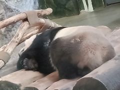 -海南热带野生动植物园