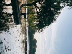 -济南大明湖景区