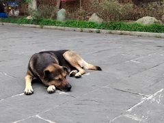 -途中饭店(开化店)