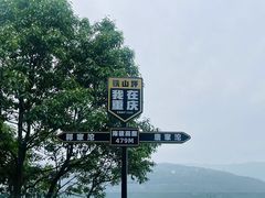 -铁山坪森林公园