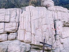 -北京西山国家森林公园