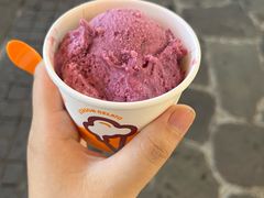 -iceason爱茜茜里·意大利健康冰淇淋(骑龙巷店)