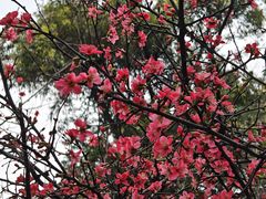 -成都市活水公园