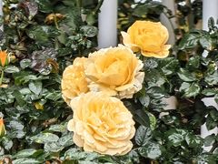 -人民公园(罗湖区)