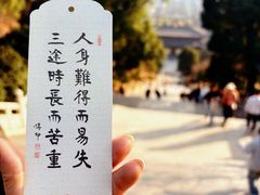 -庐山风景名胜区-东林大佛