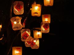 -长田漾湿地公园