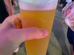 -第35届青岛国际啤酒节