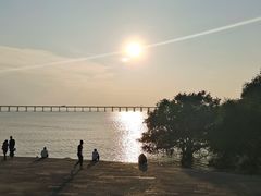 -宝安西湾红树林湿地公园