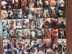 零售区-百好乐宠物友好餐厅(朝外大街店)