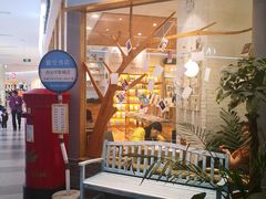 -猫的天空之城概念书店(印象城购物中心店)