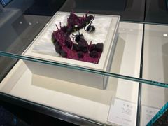 -BLACKSWAN黑天鹅(环球店)