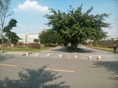 -成都中医药大学(温江校区)