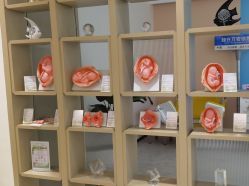 -郑州万安妇产医院