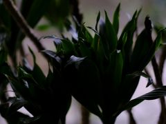 -春庄咖啡SpringHues(钟楼小区店)