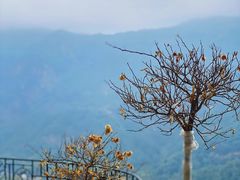 -雁荡山风景名胜区