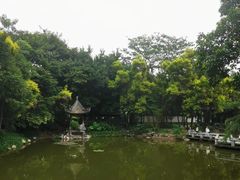 -深圳国际园林花卉博览园