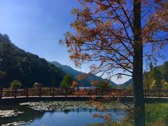 -广州市石门国家森林公园