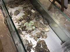 -欢乐牧场海鲜烤肉自助(牡丹园店)