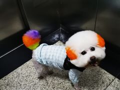 -乐琪宠物(青塔西路店)