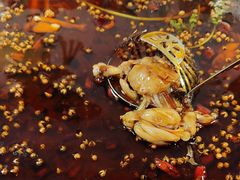 -味之绝热血美蛙鱼火锅(中坝店)