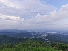 -黄埔油麻山森林公园