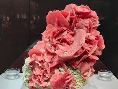 -湖南省地质博物馆