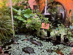 -园林美食城·本土农家菜(杨和镇店)