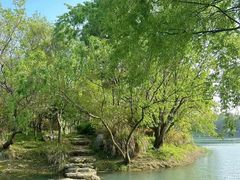 -贡湖湾湿地公园