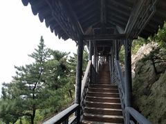-石老人观光园