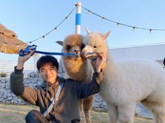 -Blue Concept Cafe&Farm·關於藍
