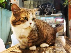 -小时光咖啡馆(北锣鼓巷店)