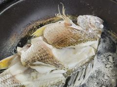 油盐焗海立鱼-百味馆·粤菜·湛江菜(后海花园店)