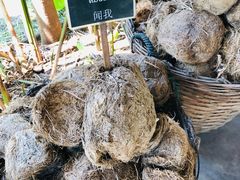 -大象粑粑造纸公园